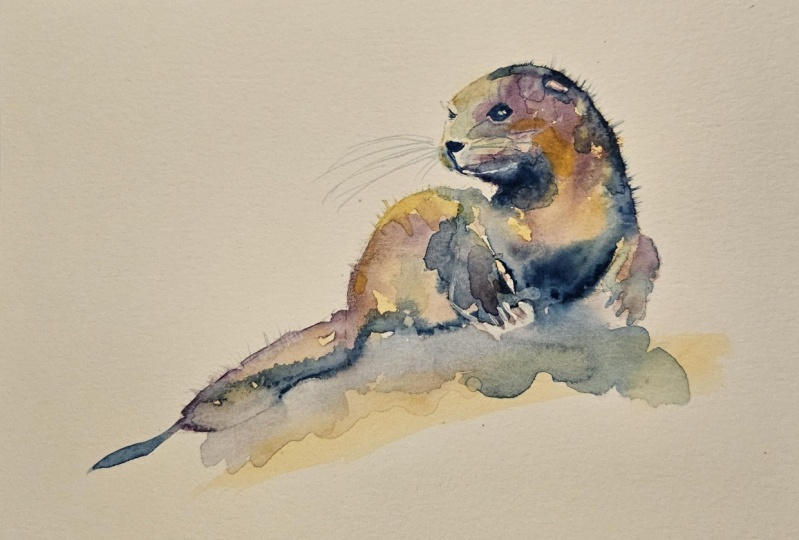 Ollie Otter