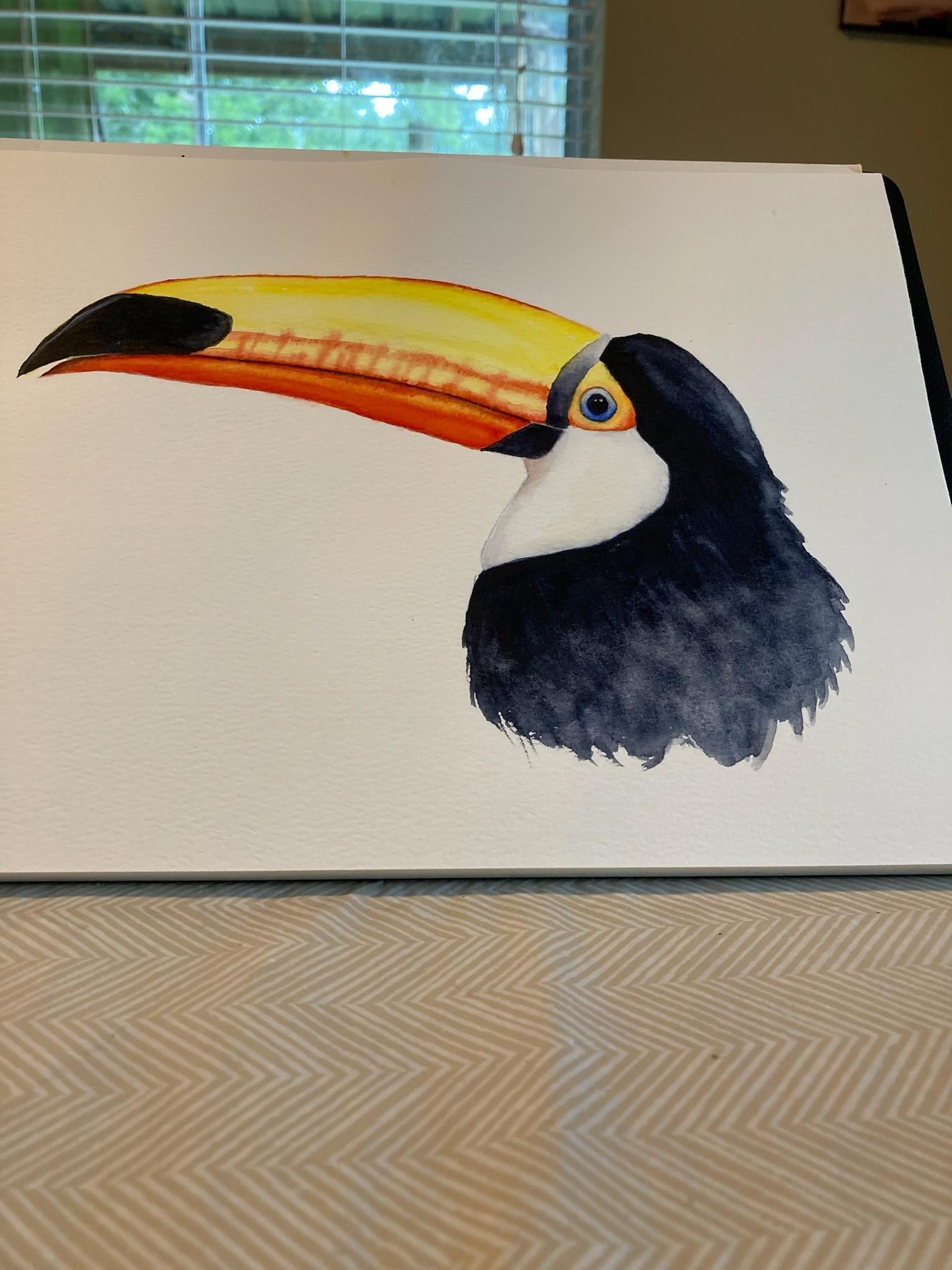 Nadine's Toucan - student project
