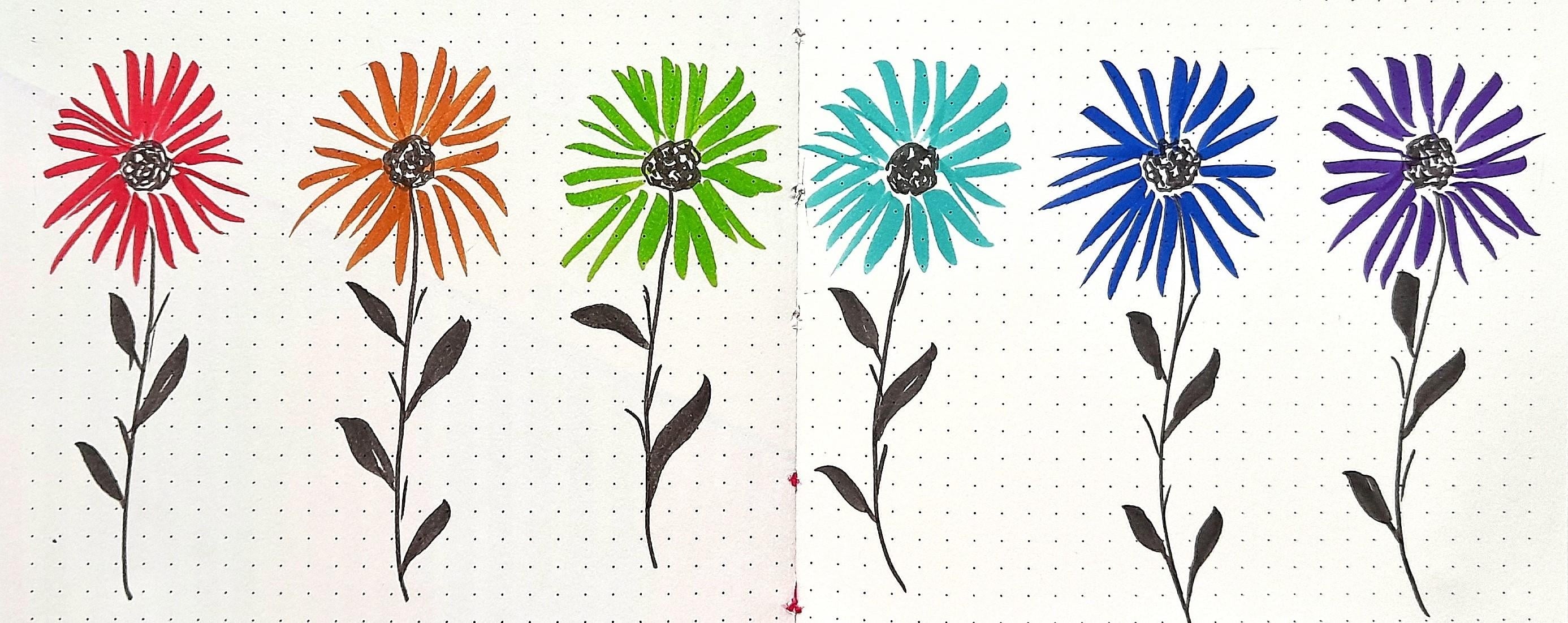 more-projects-from-class-img