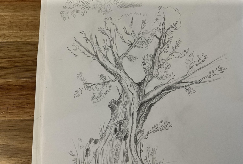 Drawing trees