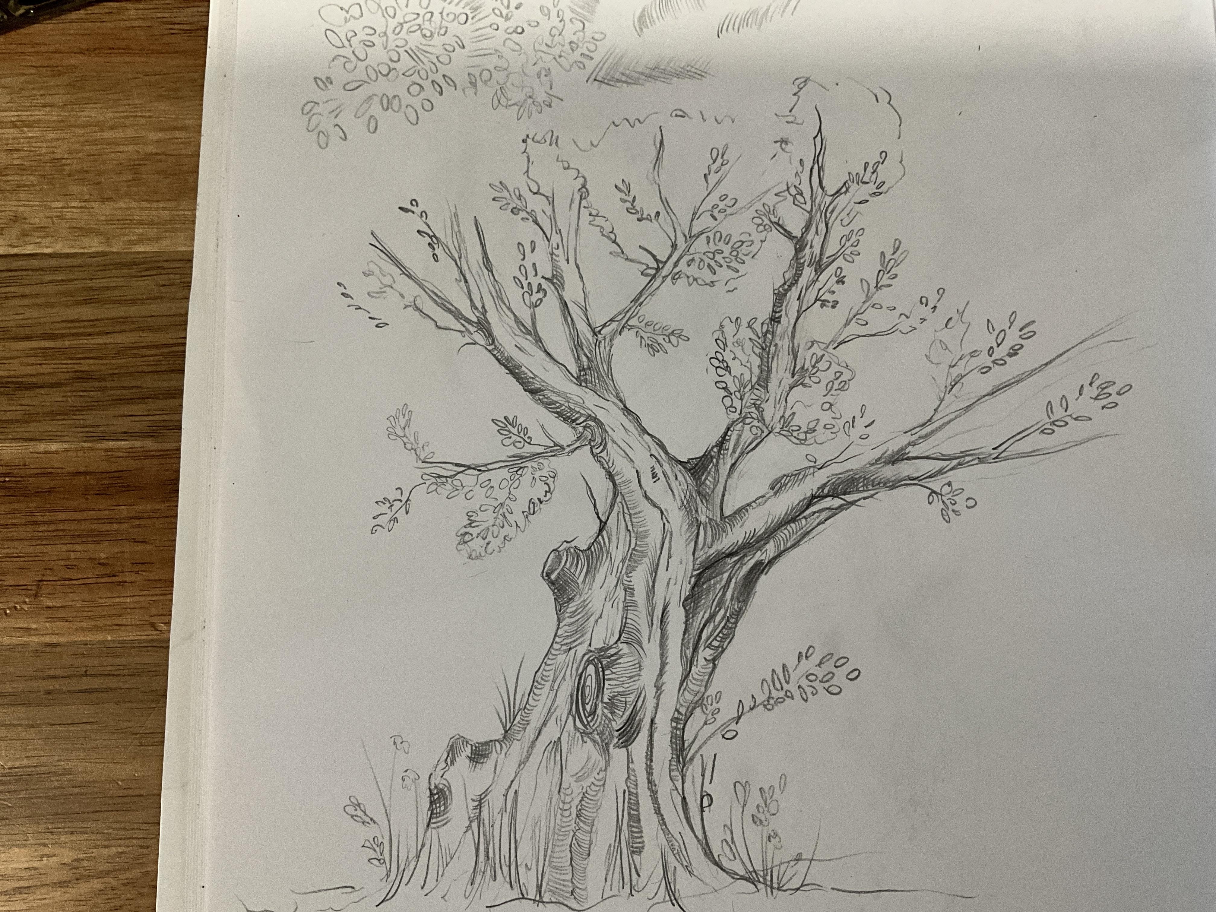 more-projects-from-class-img