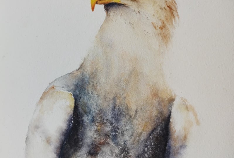 Eagle. A free-flow watercolour masterclass with Jane Davies