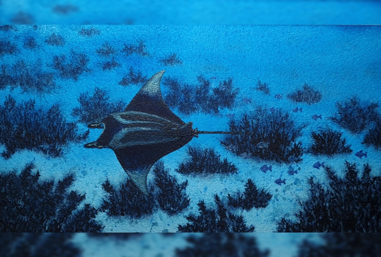 Giant Manta Ray with Metallic Highlights - student project