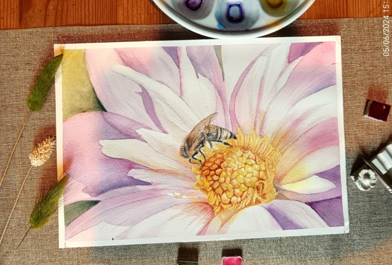 Flat lay photography
