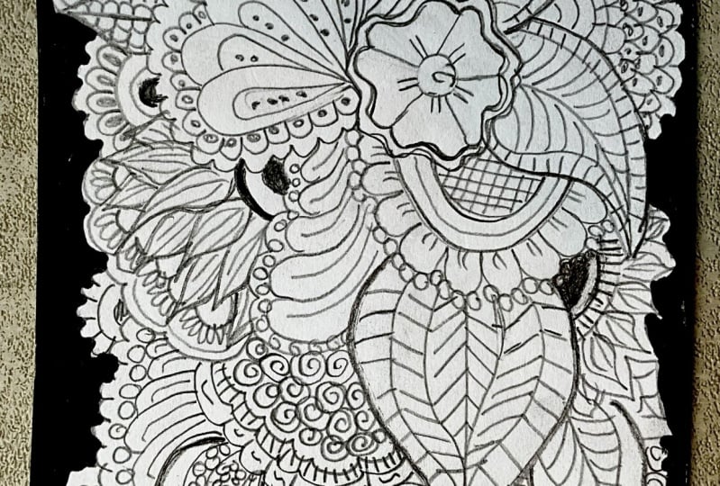 Doodles