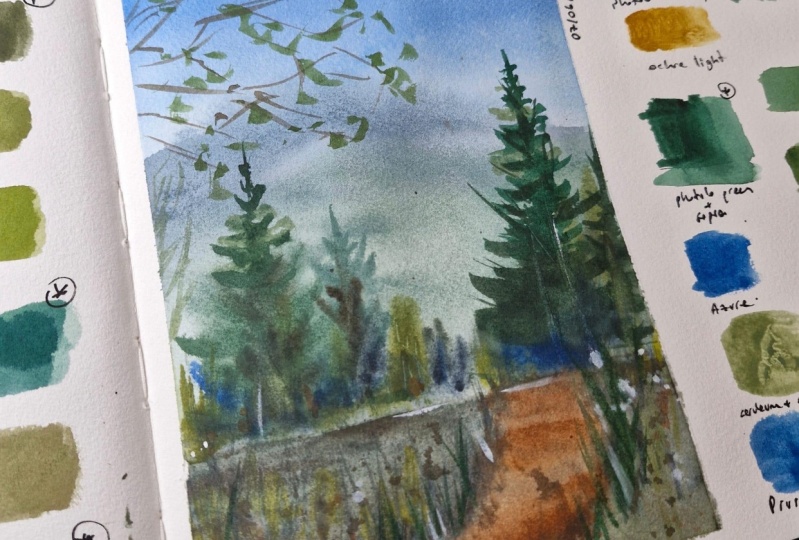 forest landscape