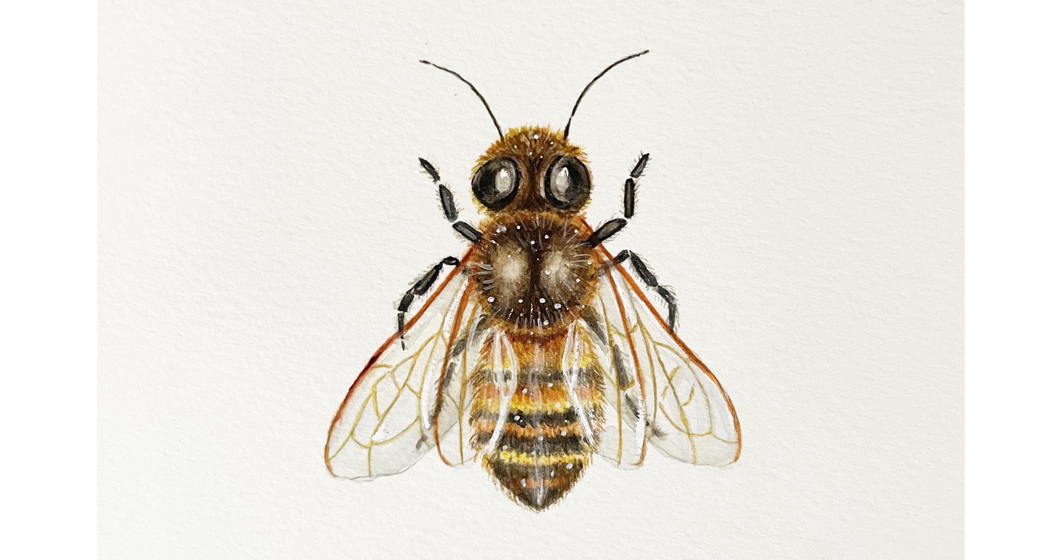 Little Bee - student project
