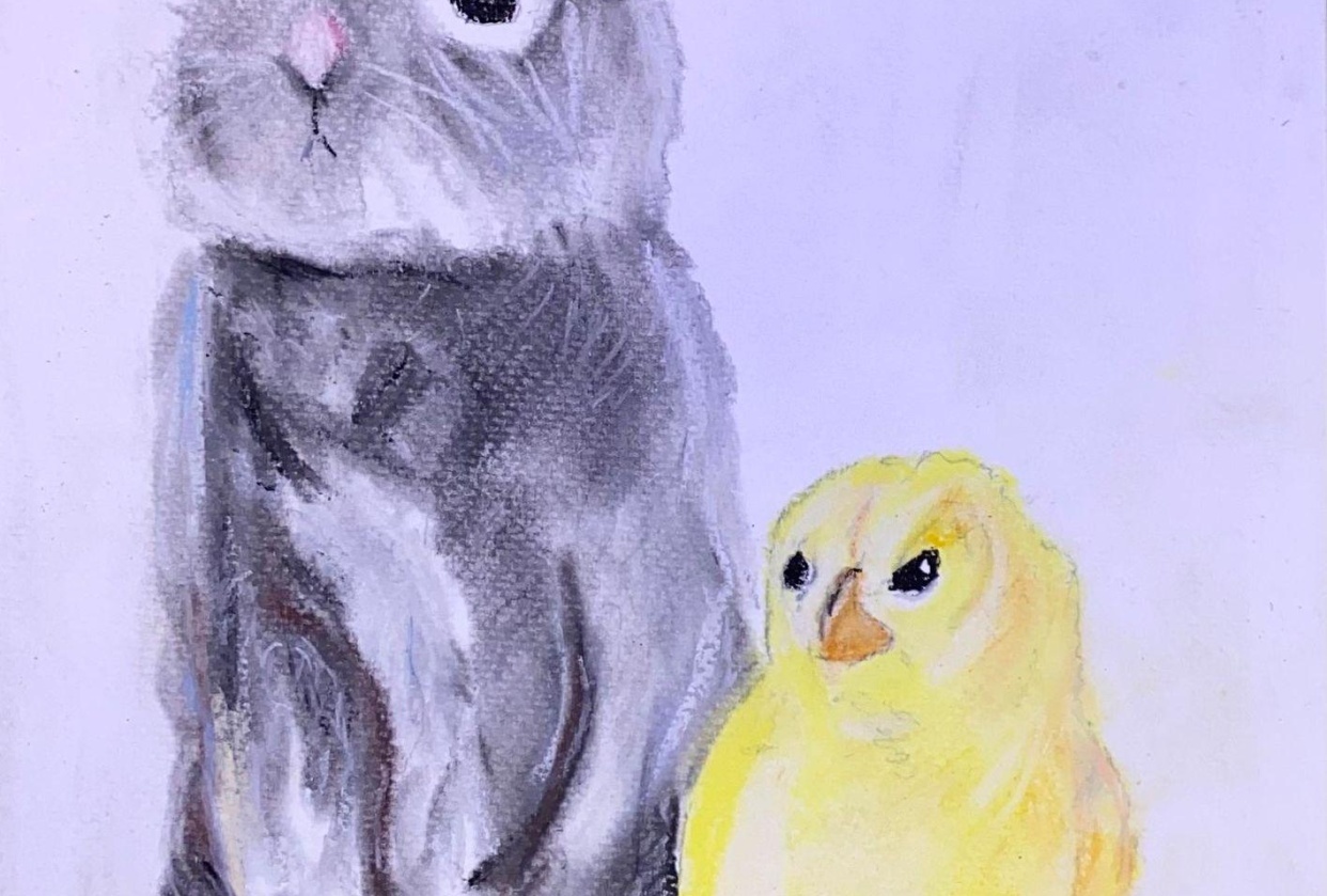 Little chick & bunny! - student project