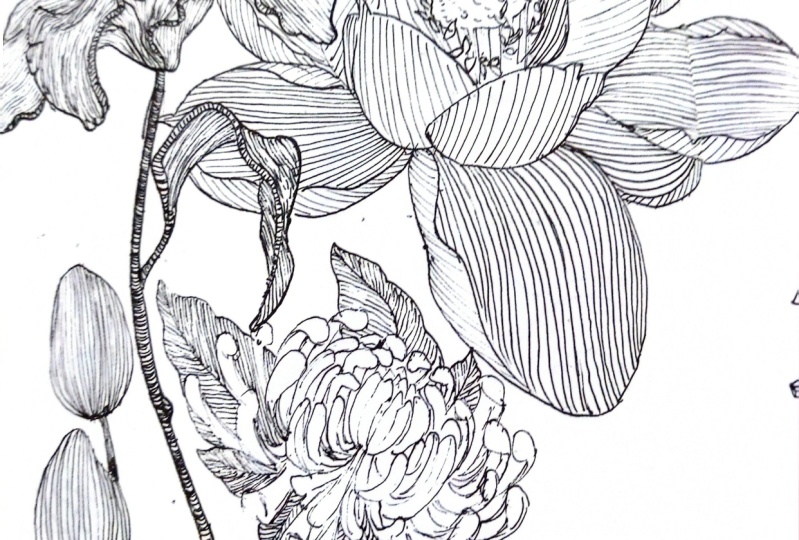 Bella botanica