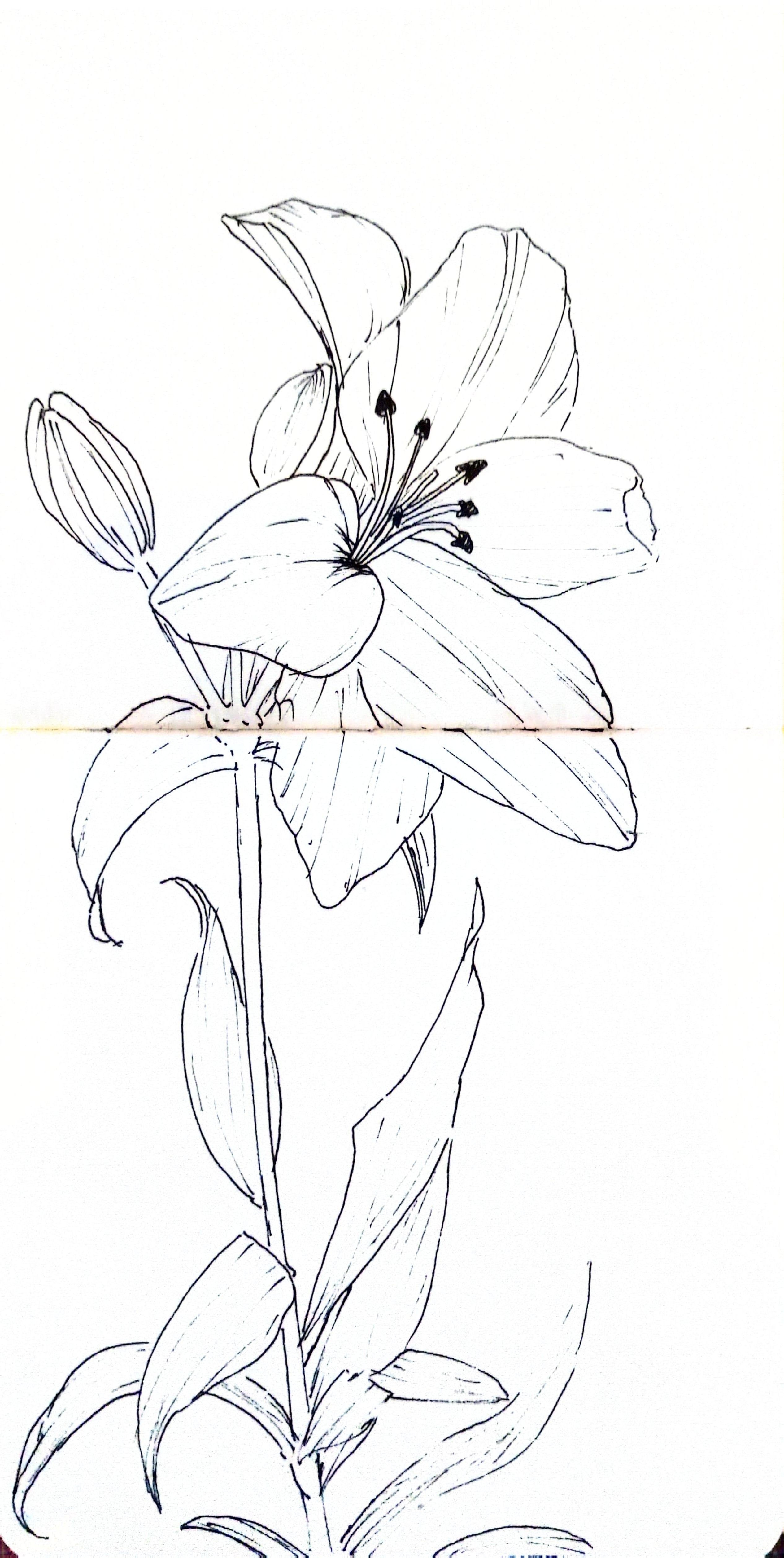 more-projects-from-class-img