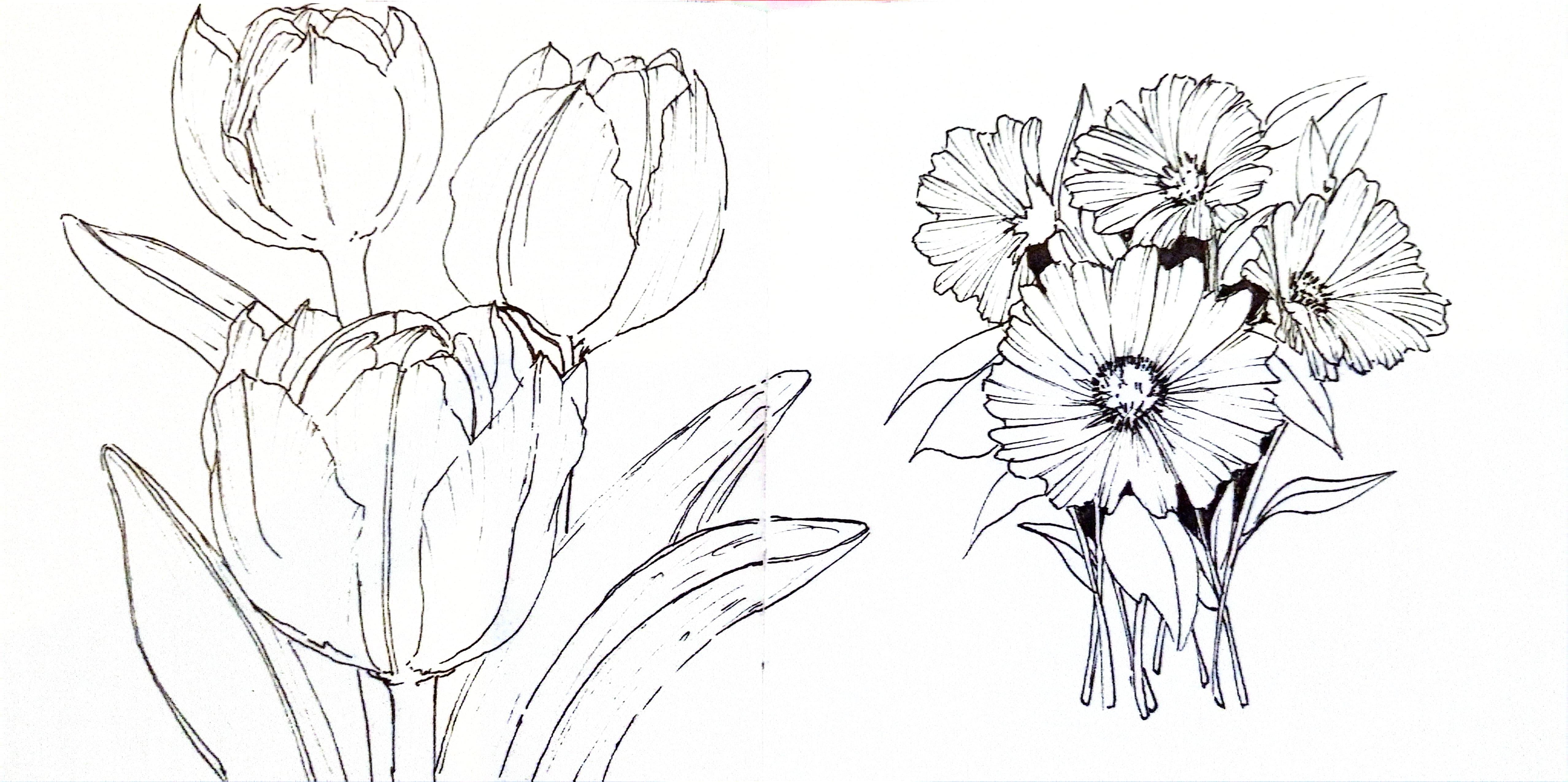 more-projects-from-class-img