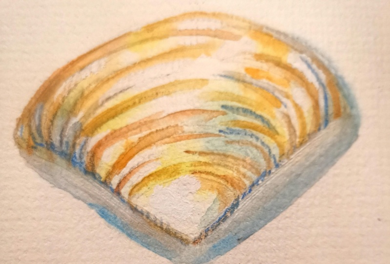 Watercolor seashell