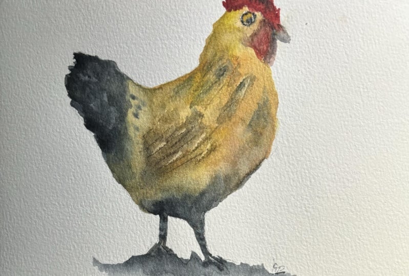 Loose watercolour birds with Patrick Visser