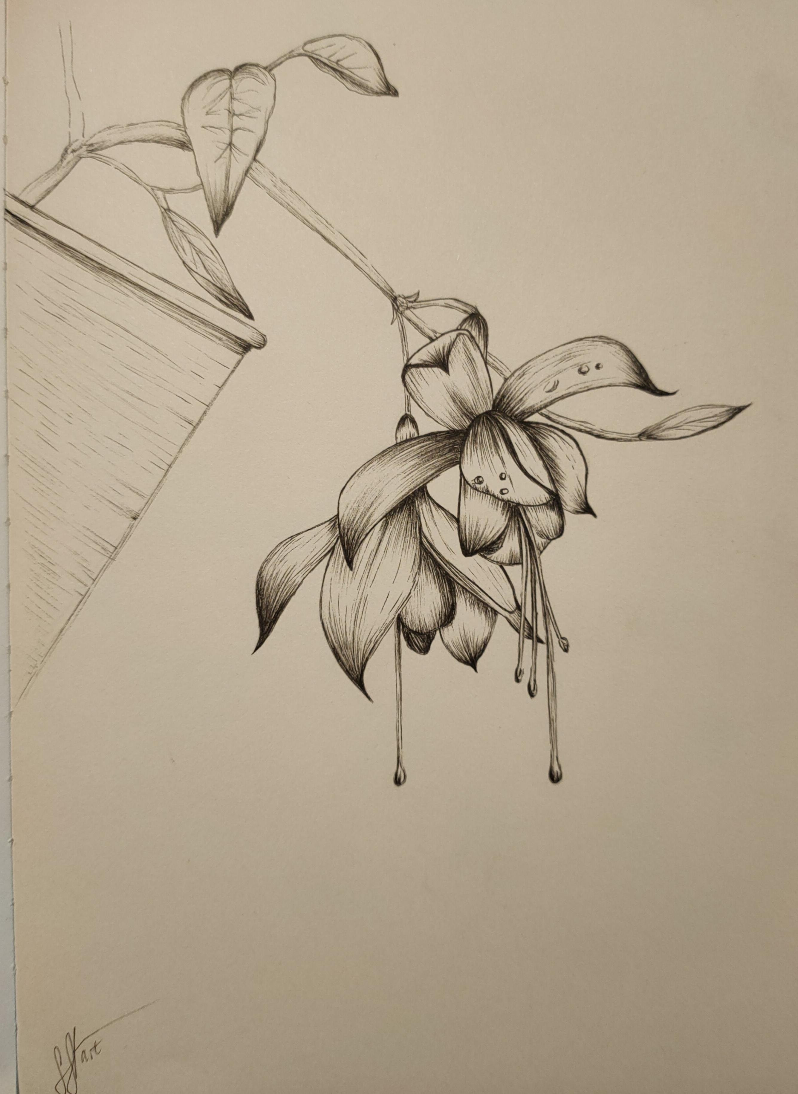 more-projects-from-class-img