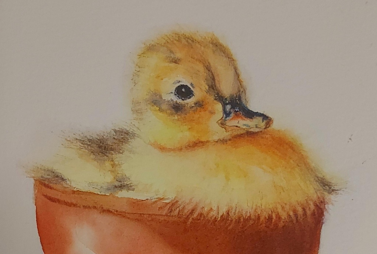 Soft Yellow Duckling Portrait - Learn To Paint Soft Down And Hair - student project