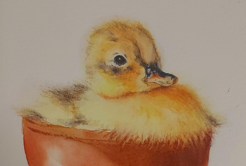 Soft Yellow Duckling Portrait - Learn To Paint Soft Down And Hair