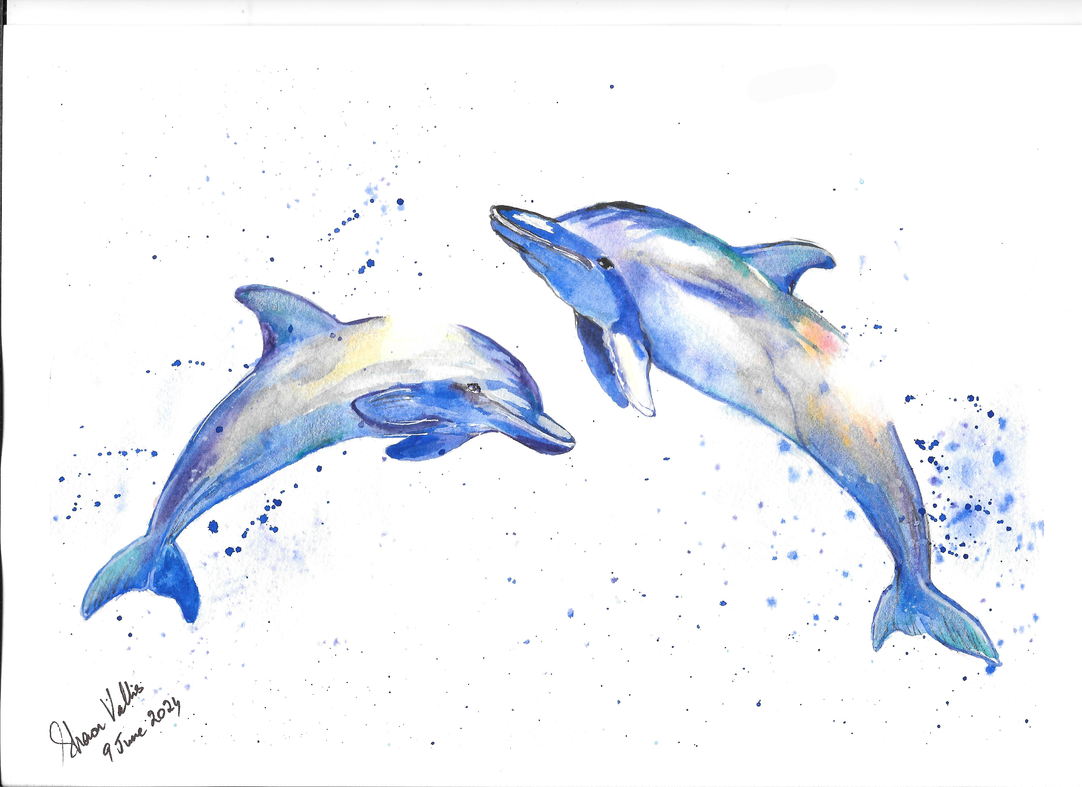 Playful Dolphins - student project