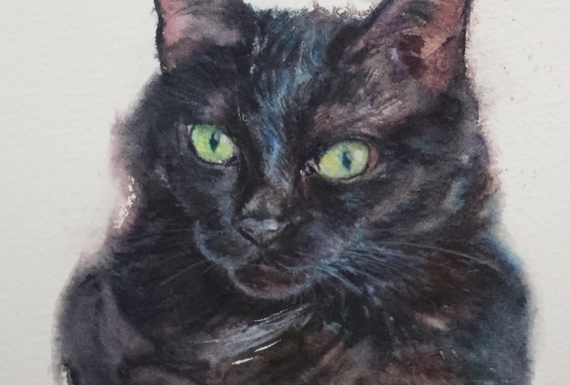 Watercolor Mastery: Paint Realistic BLACK Animals w/Wet on Wet and Lifting