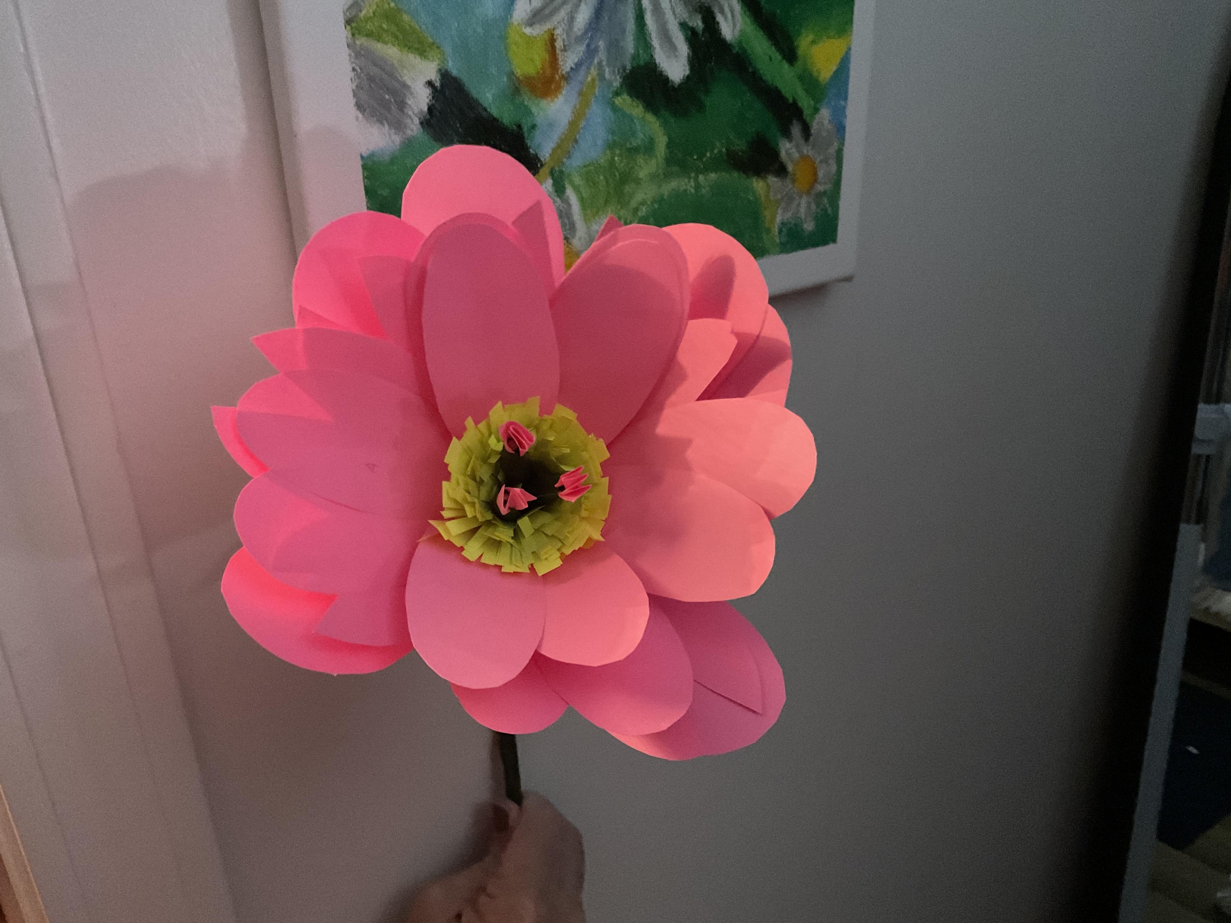 more-projects-from-class-img