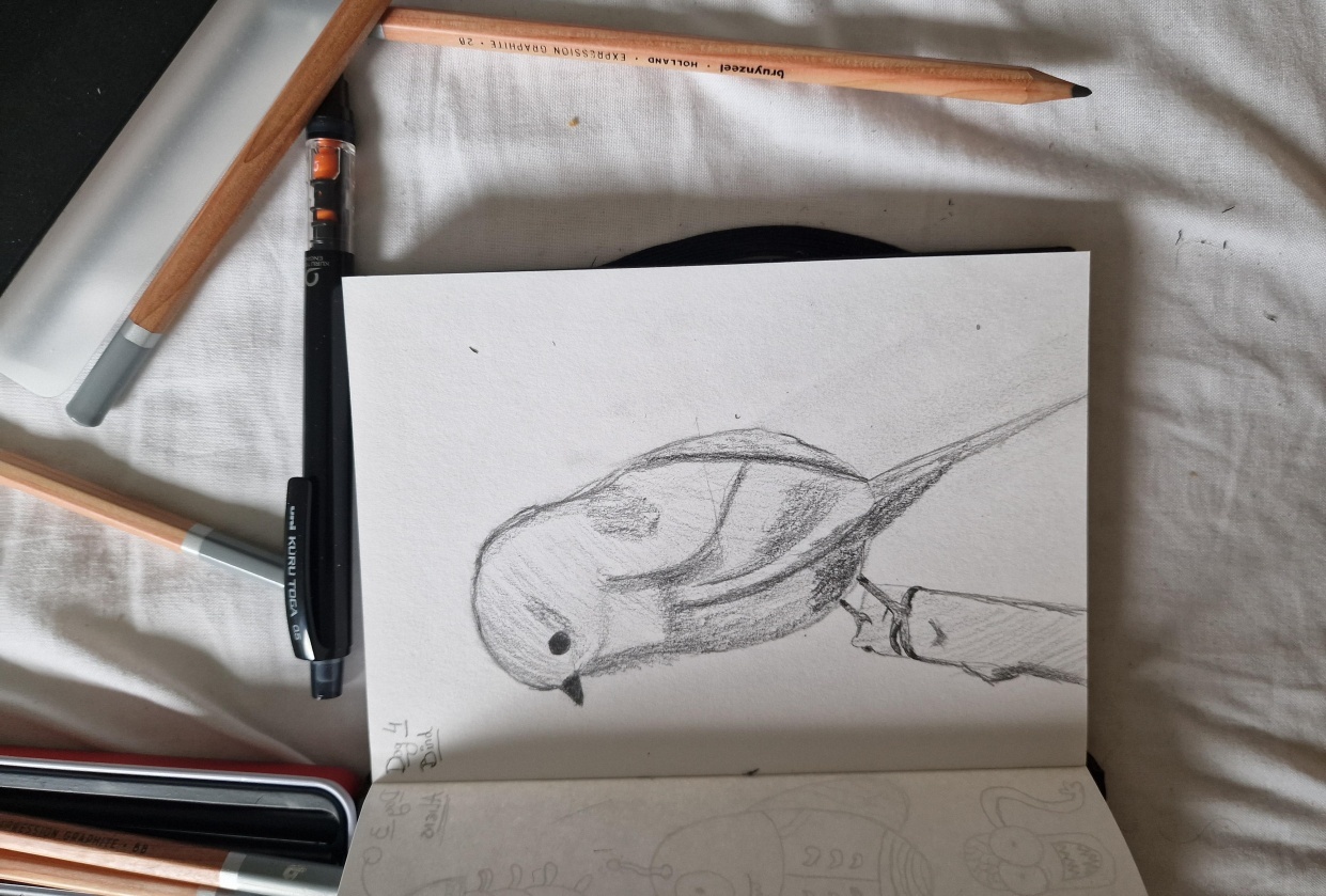 Bird - student project