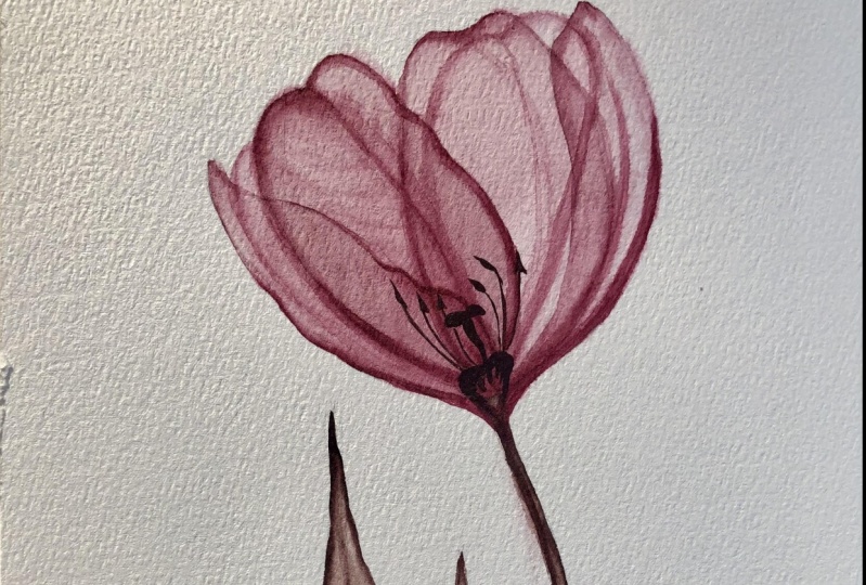 Painting Tulip