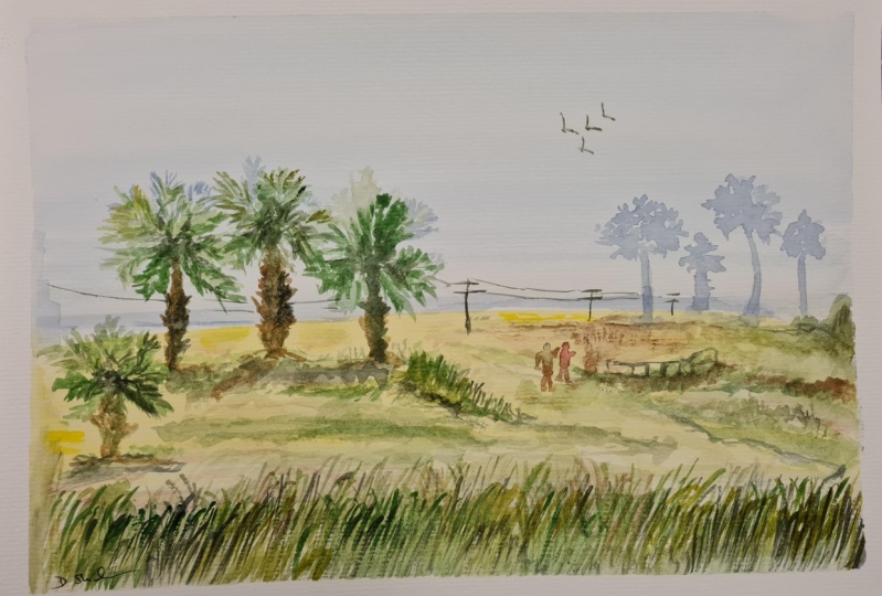 Rural landscape
