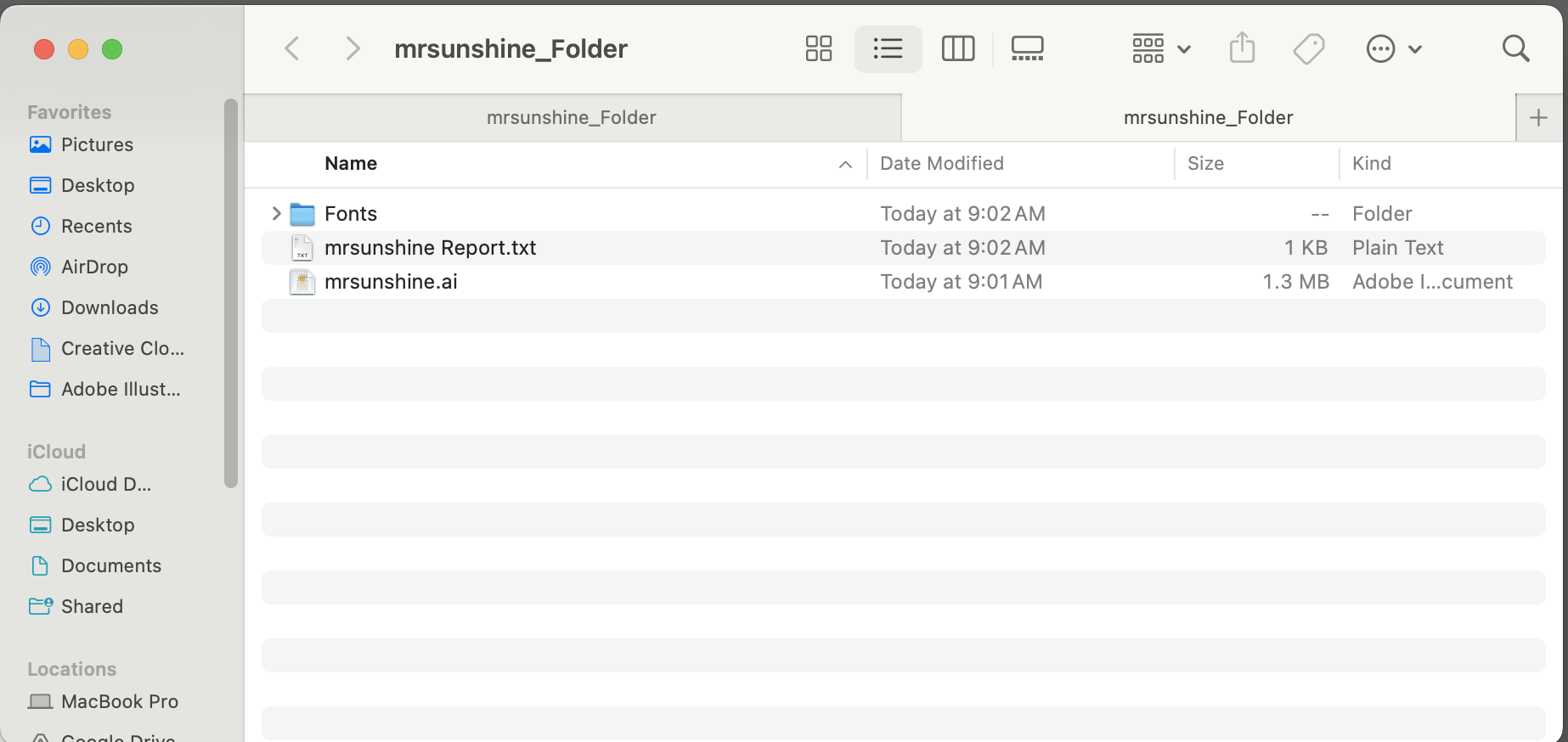 Adobe Illustrator Package File - student project