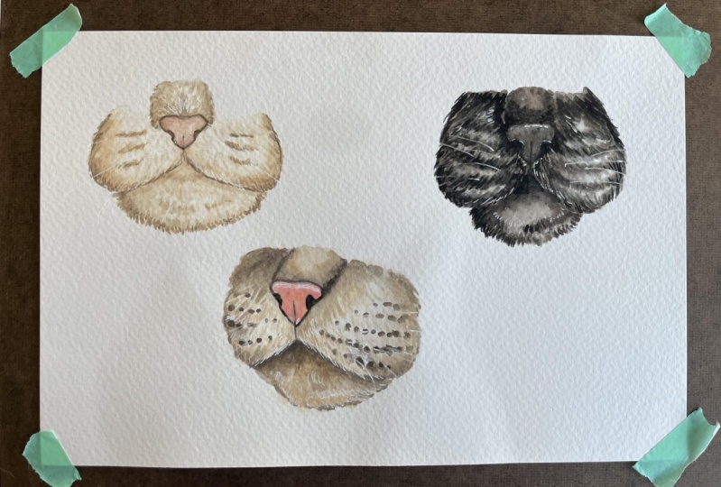 Cat Nose Tutorial