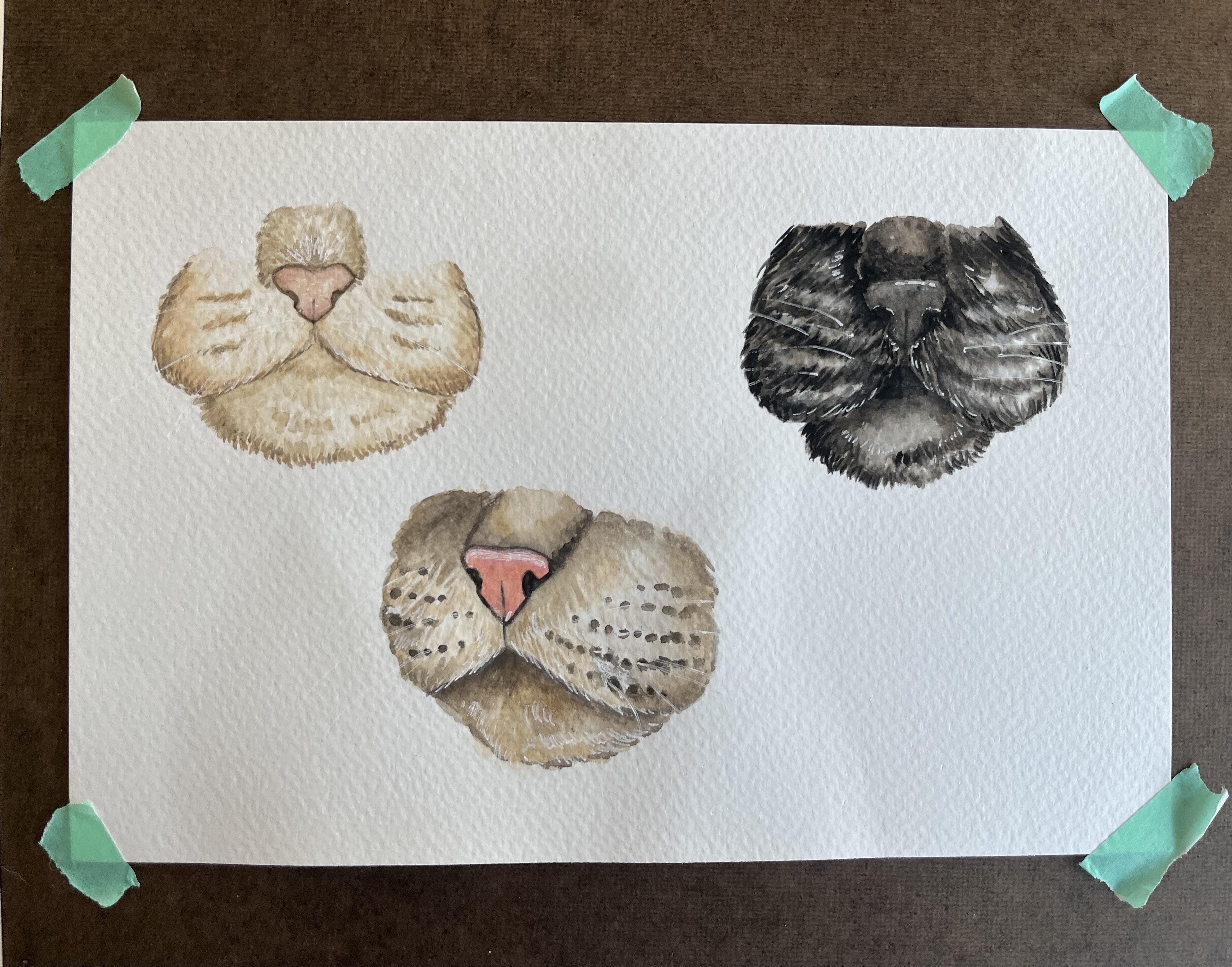 Cat Nose Tutorial - student project