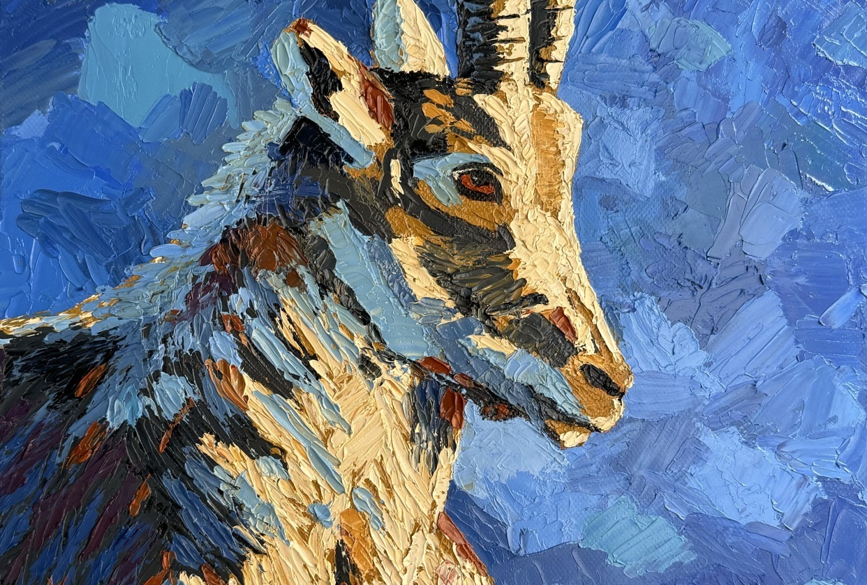 The Goat - student project
