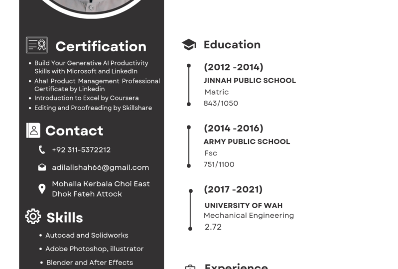 My Resume
