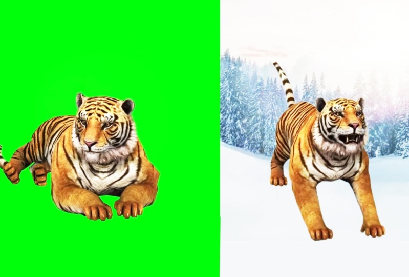 Final Project Remove Green Screen