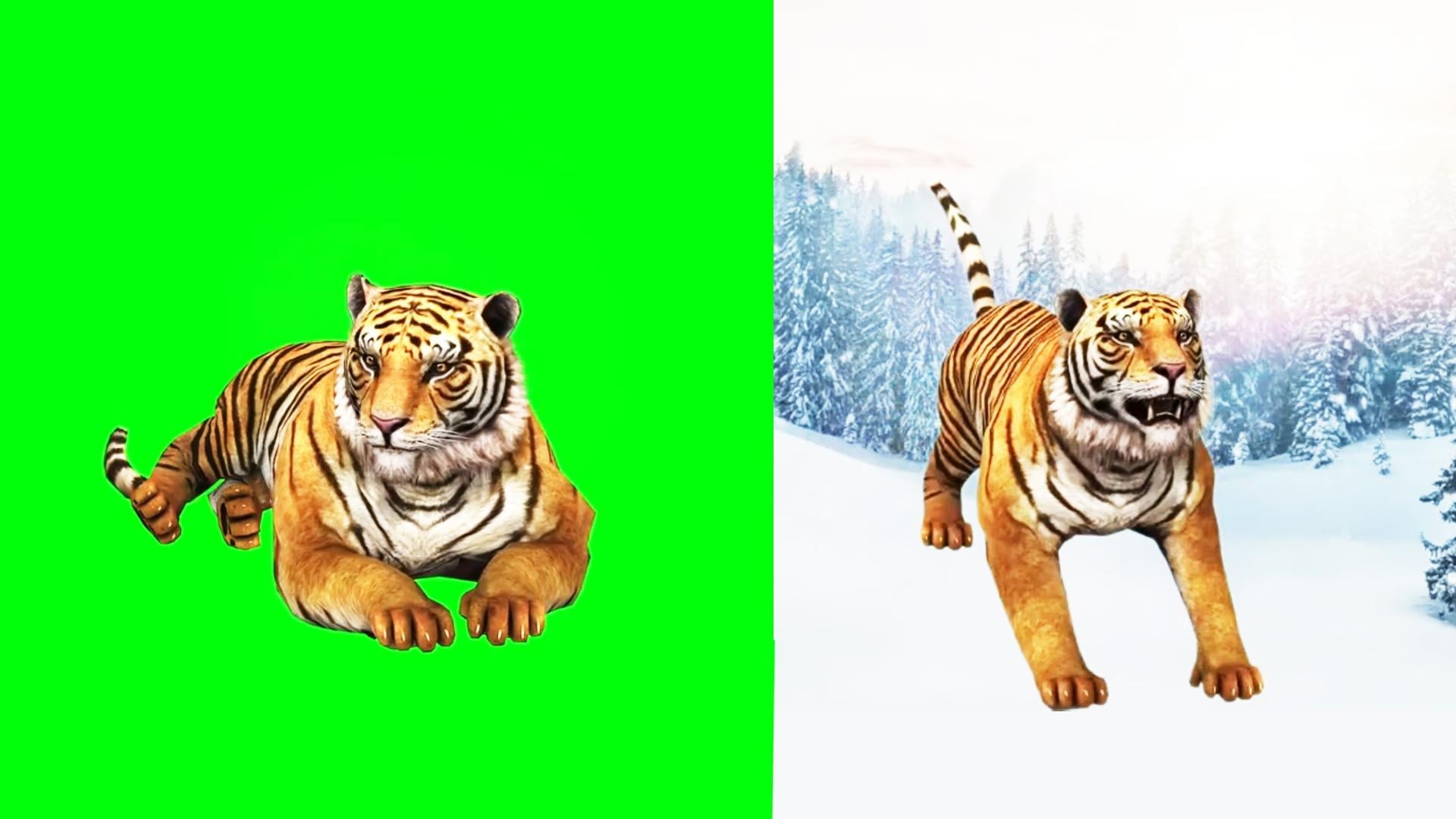 Final Project Remove Green Screen - student project