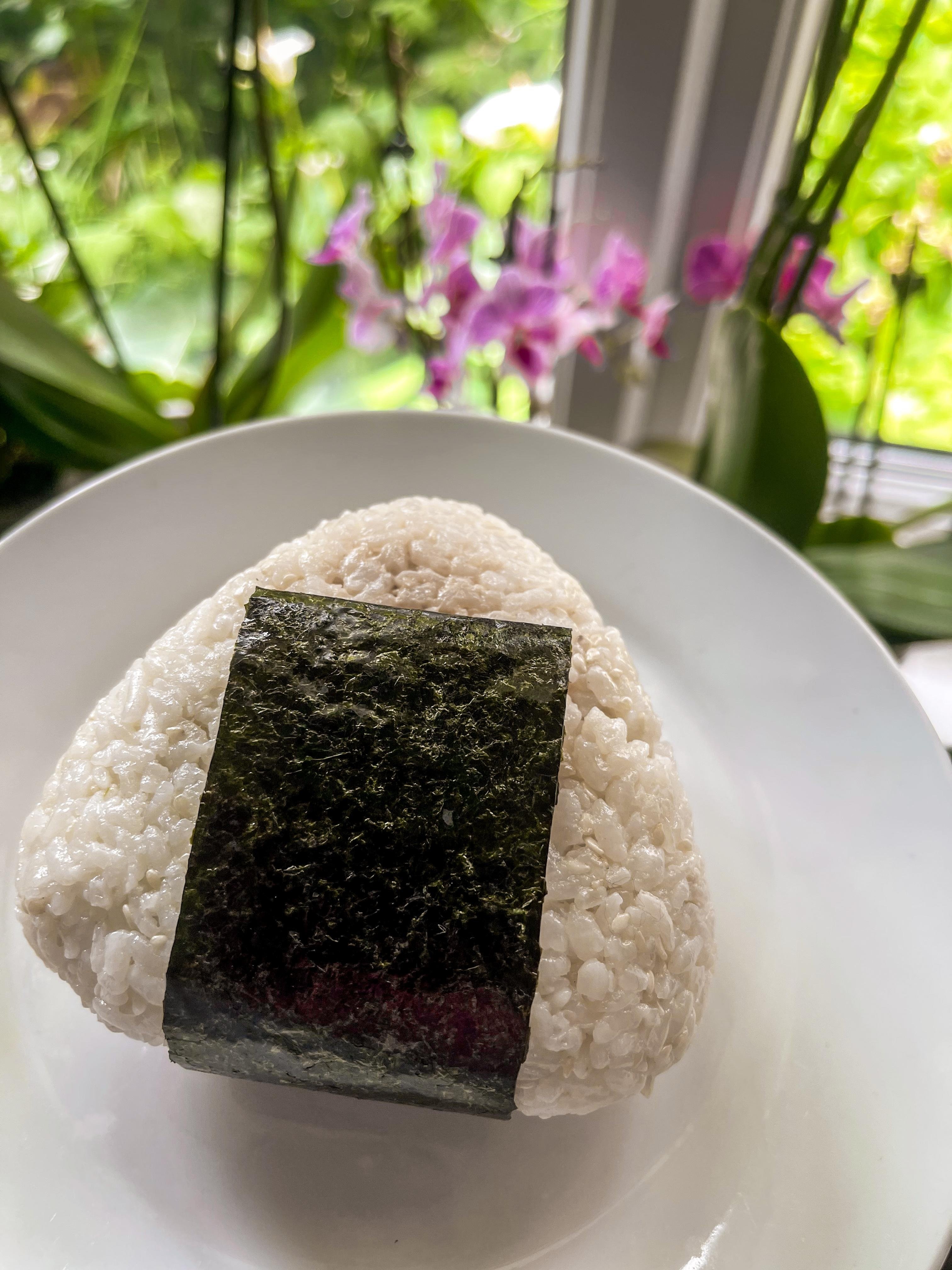 Japanese rice and onigiri - student project
