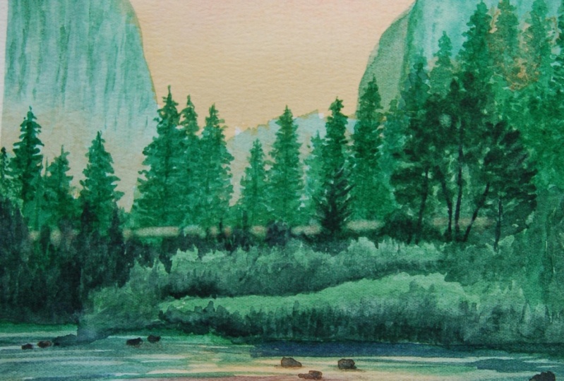 Mountains, trees and lake