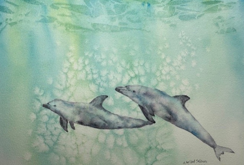 Dolphins