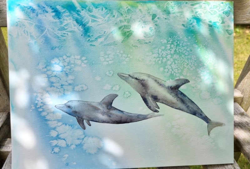 Dolphins