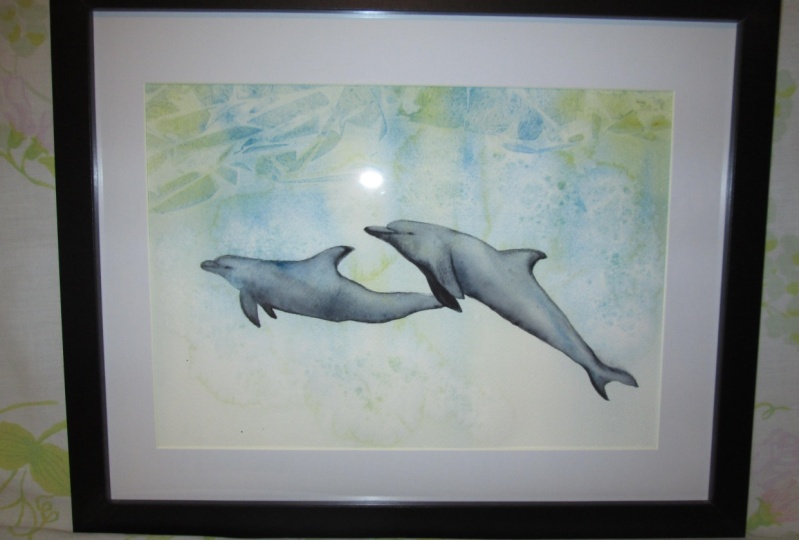 Dolphins