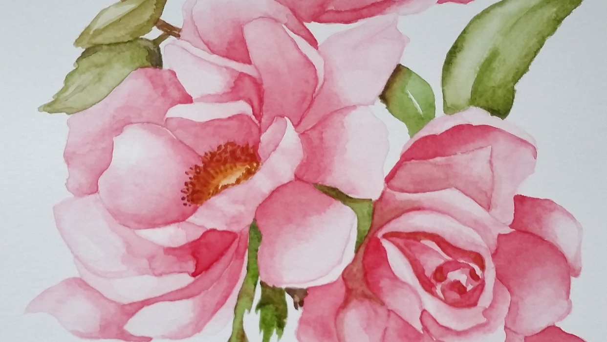 Rose - student project