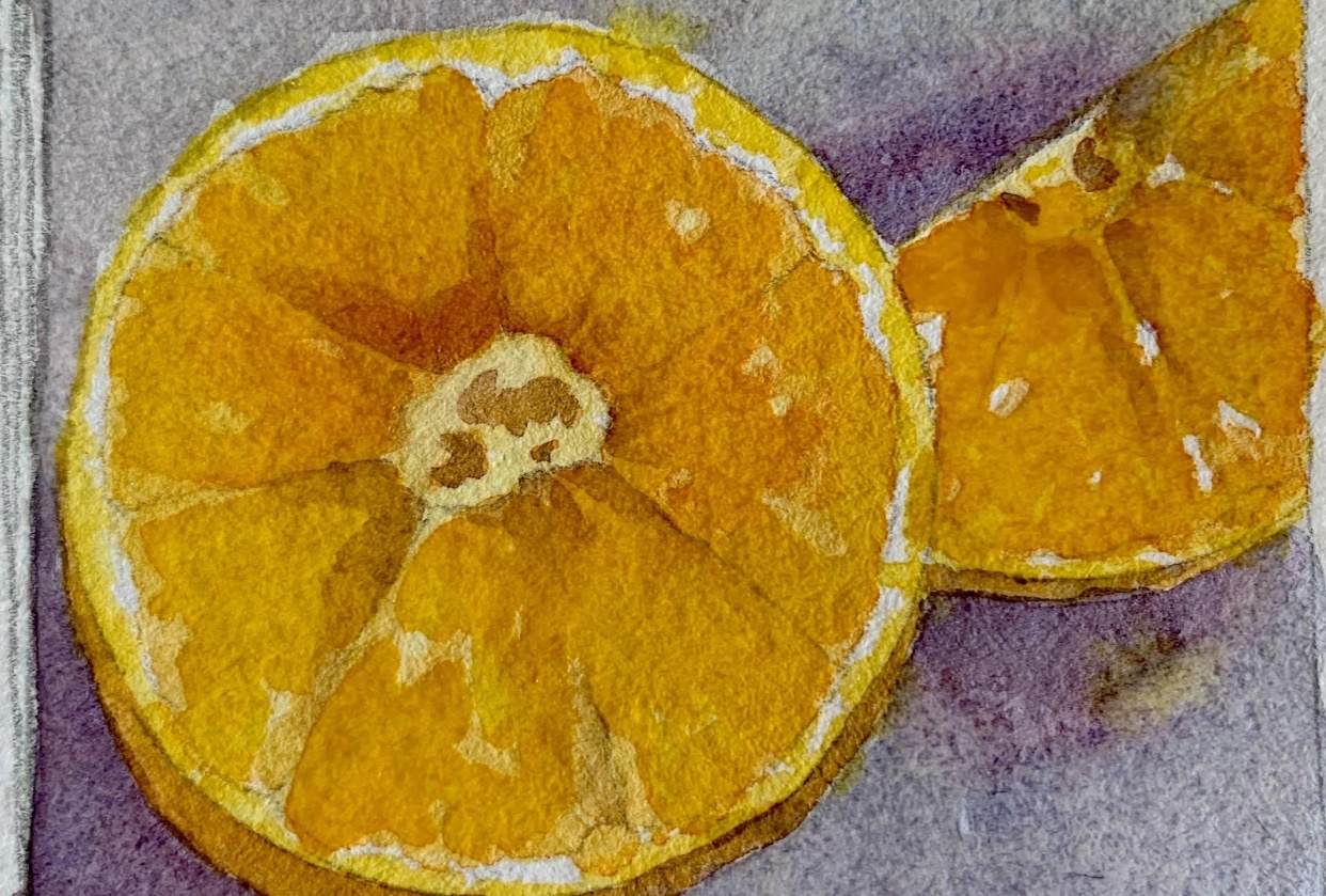orange value study - student project