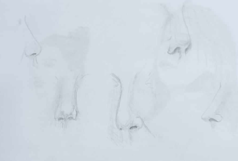 noses