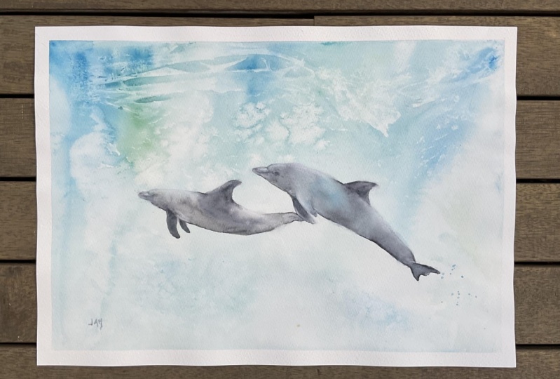 Dolphins