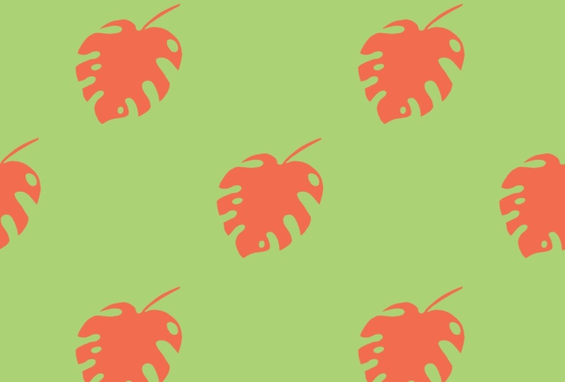 Monstera Orange&Green