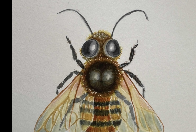 Bee