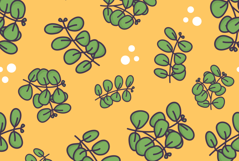 Eucalyptus cinerea Print