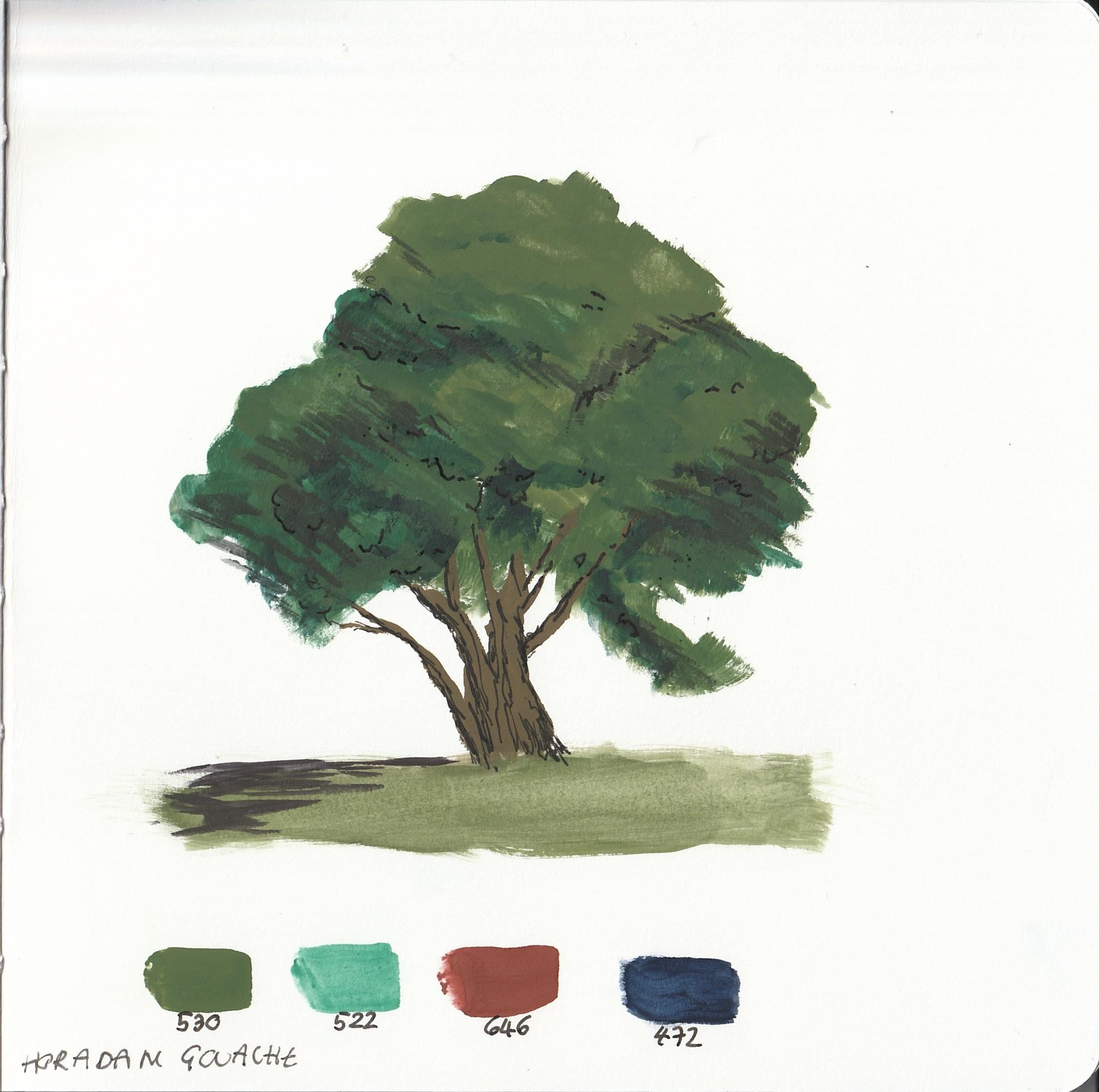 more-projects-from-class-img