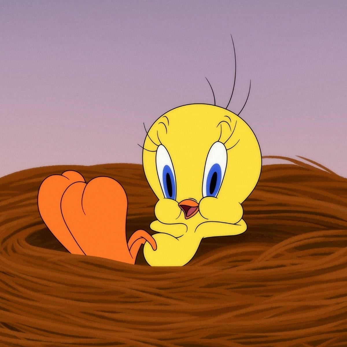 Tweety bird - student project