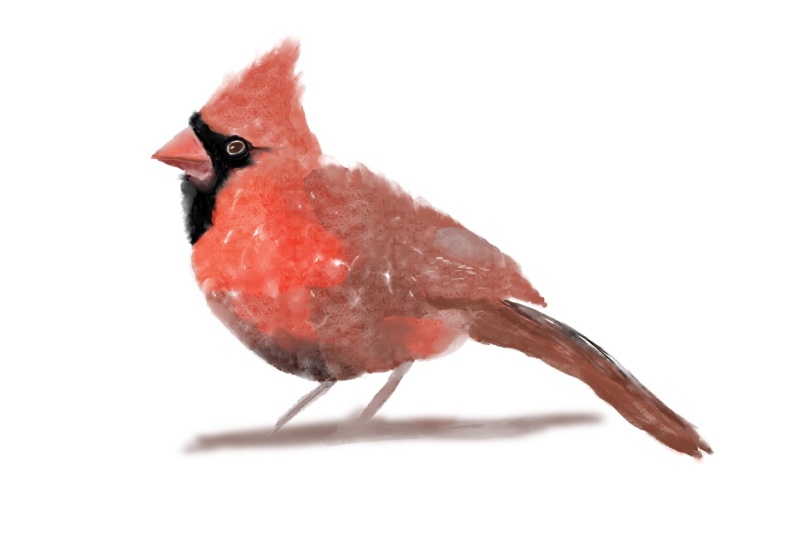 Watercolour in procreate with Paul Cheney