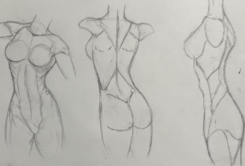 Female Torso