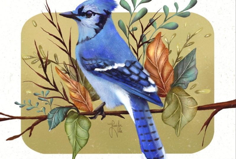 Whimsical bluejay
